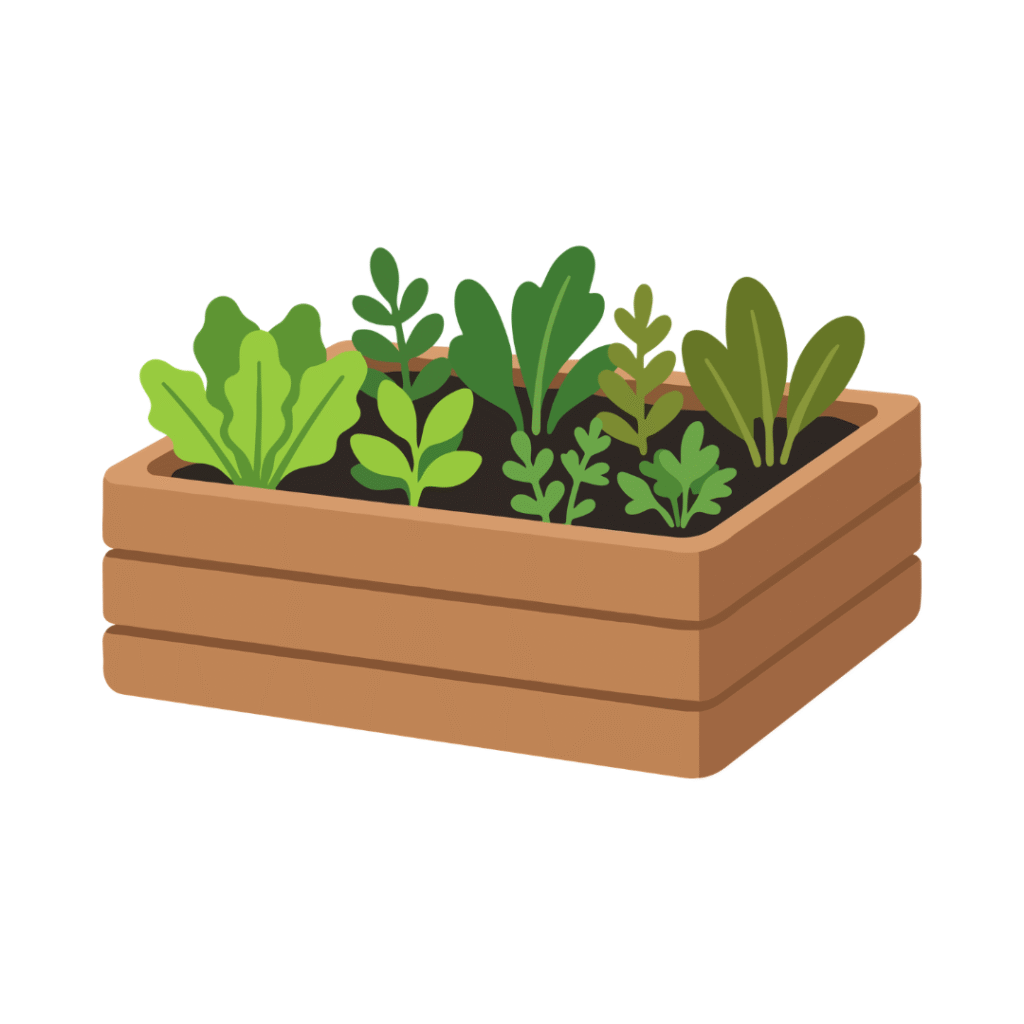 Herbs in a garden box.